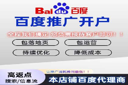 某行业SEM竞价策略的运营实践与效果